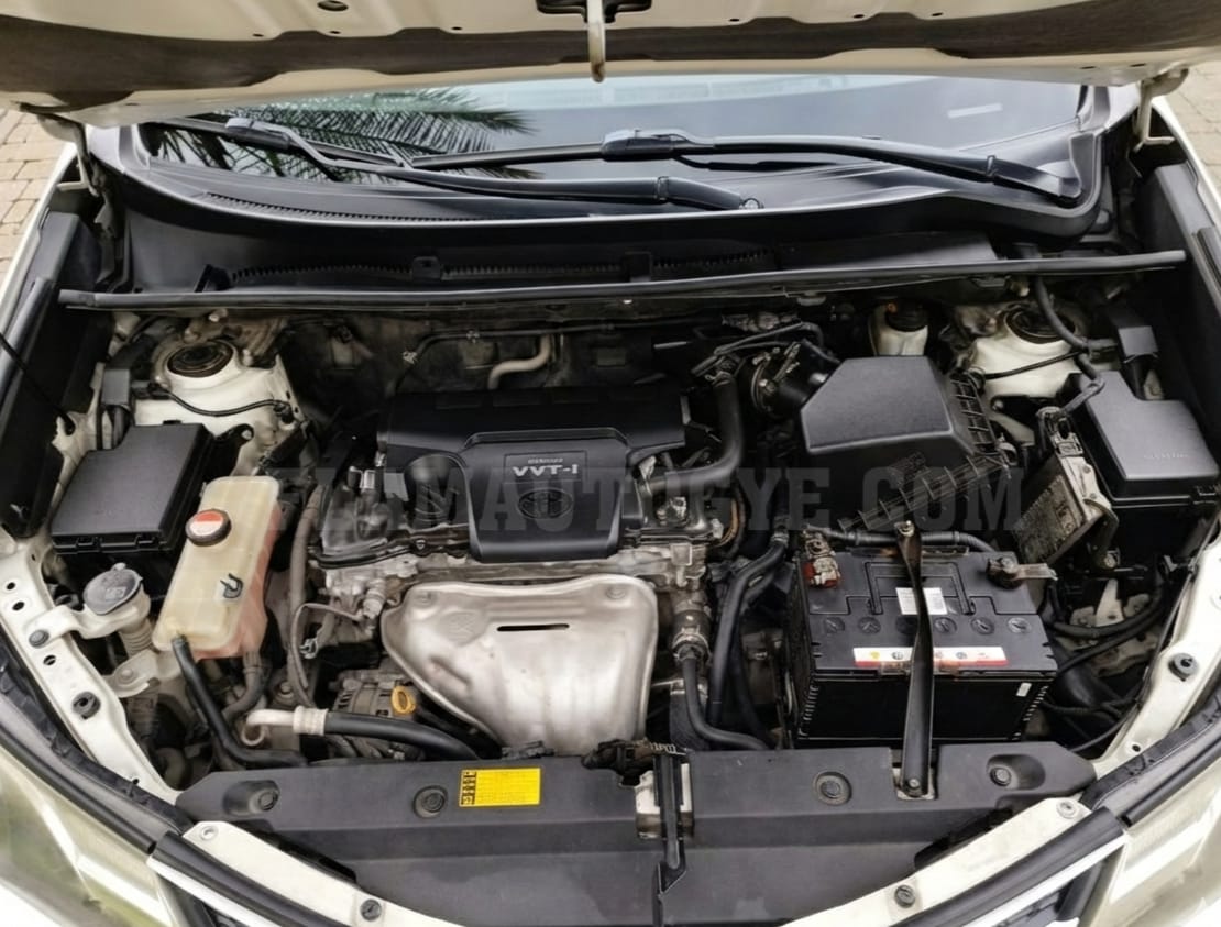 Toyota Rav 4 - Imagen 18