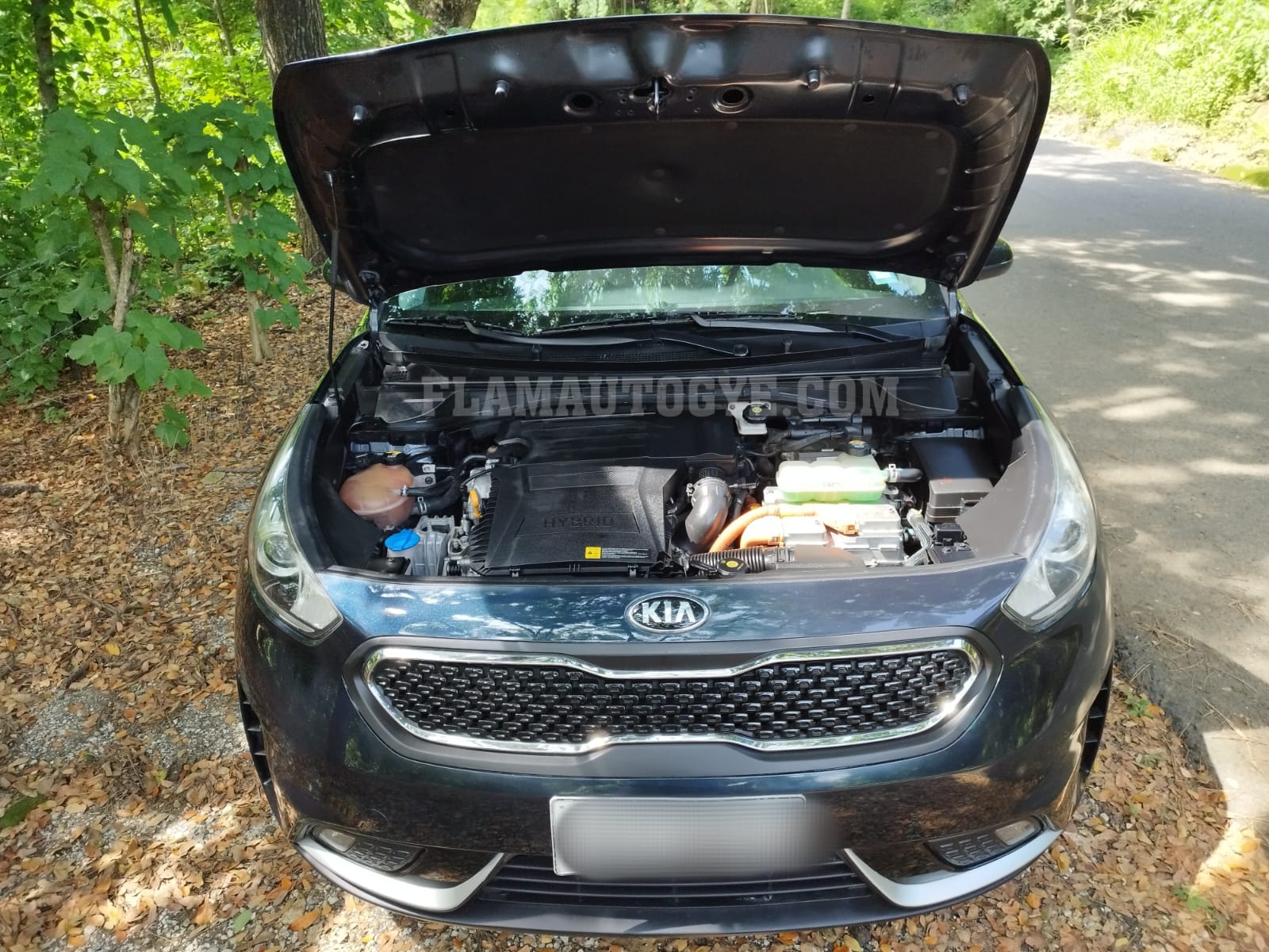 KIA NIRO - Imagen 10