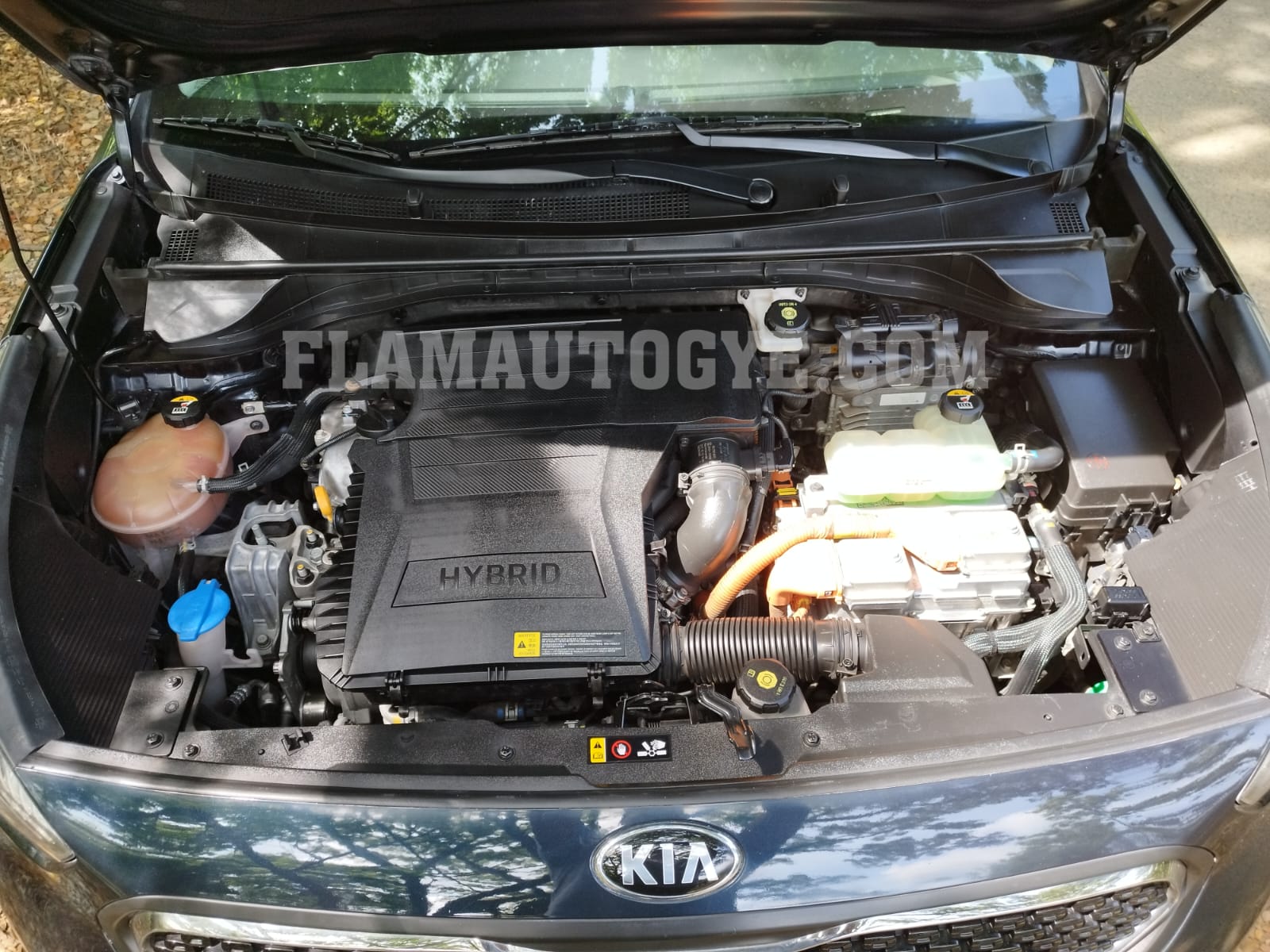 KIA NIRO - Imagen 13