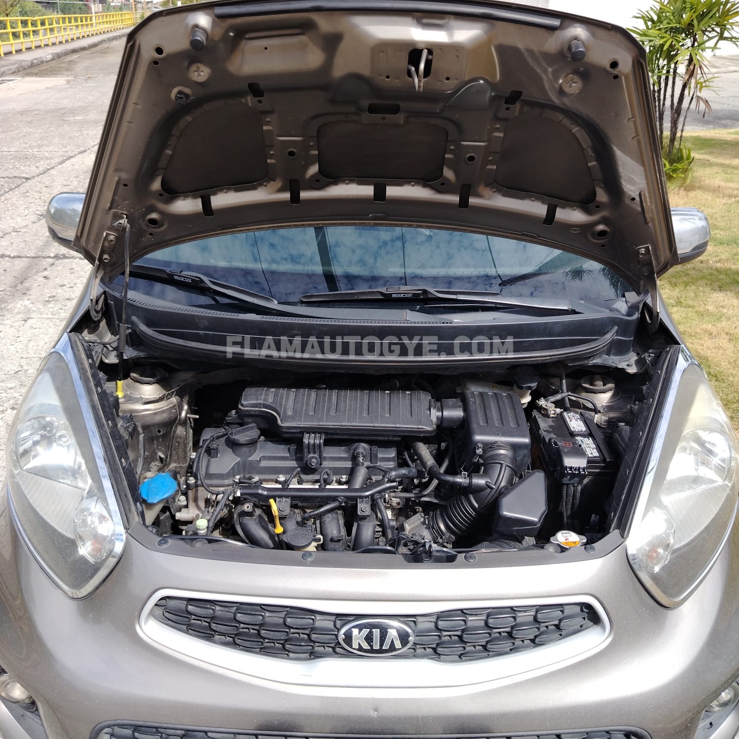 KIA PICANTO - Imagen 5