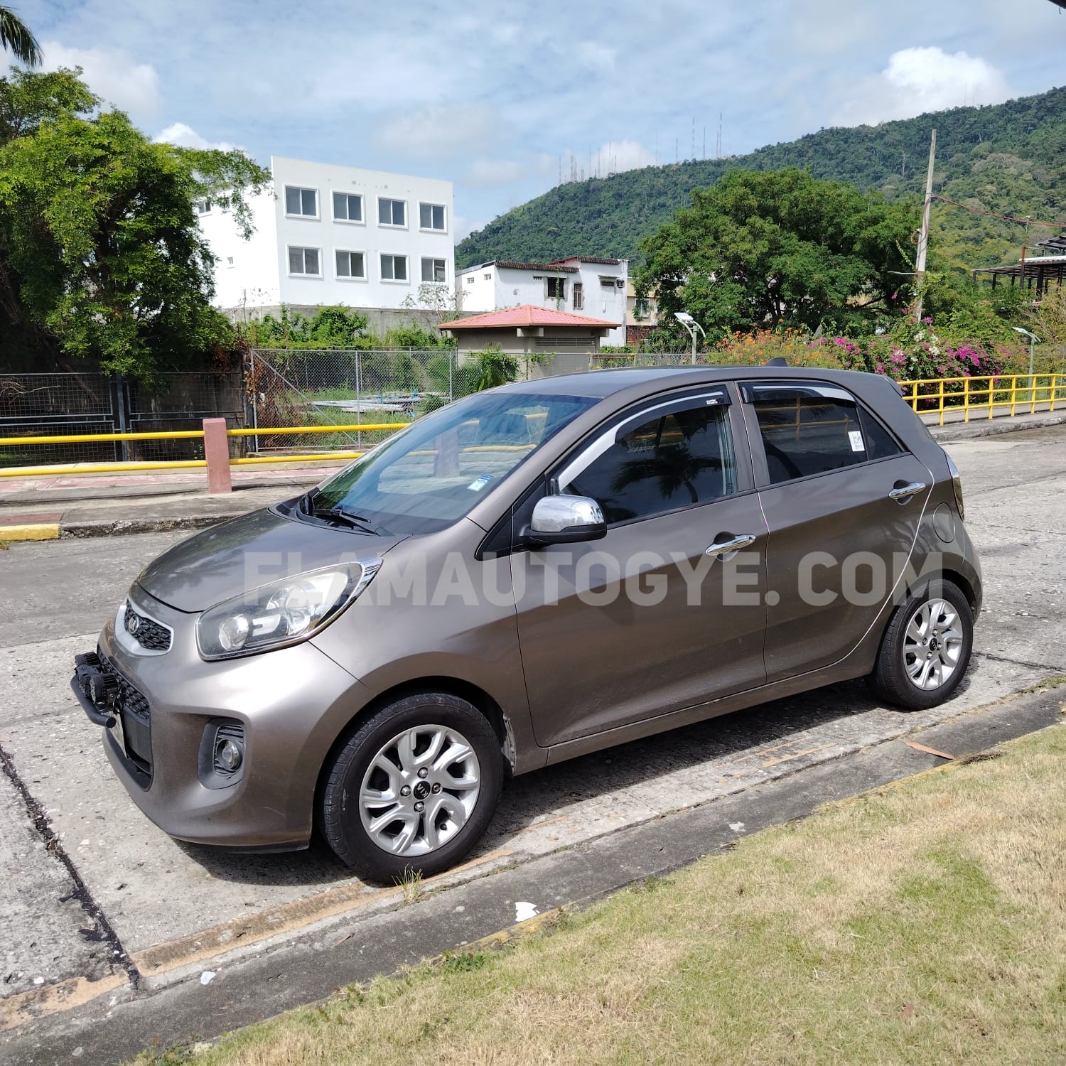 KIA PICANTO - Imagen 8