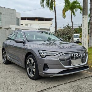 AUDI e-tron 4x4