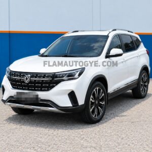 Dongfeng T5L